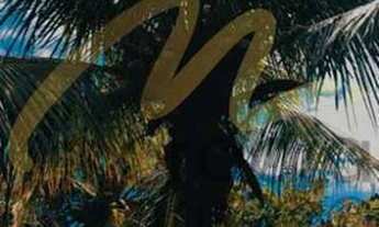 Imagem 7: Casa à venda com 3 quartos dentro de condomínio em Manguinhos - Búzios