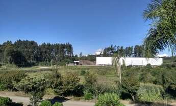 Imagem 2: CAXIAS DO SUL - Terreno Padrão - Forqueta