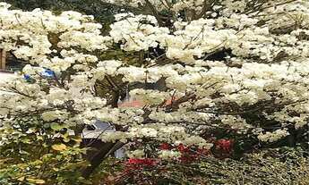 Imagem 3: Excelente casa á venda na Zona Oeste - Vila Ipojuca/Vila Romana