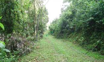 Imagem 4: Sítio à venda, 43588 m² por R$ 480.000,00 - Freguesia da Escada - Guararema/SP