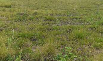 Imagem: Terreno de 459 M2 no Condomínio Vilaggio