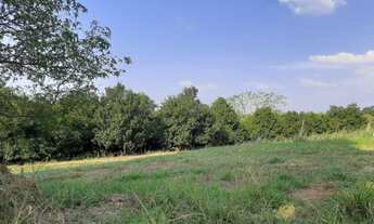 Imagem: Fazenda 142 Alqueires Região de Bauru