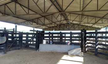 Imagem: Oportunidade Vendo Sítio com Área de 15.7