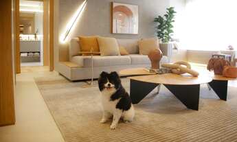 Imagem 2: Apartamento para venda tem 83 metros quadrados com 3 quartos em Vila Clementino - São Paul