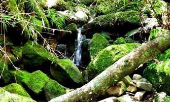 Imagem 7: Belíssimo Terreno em Urupema