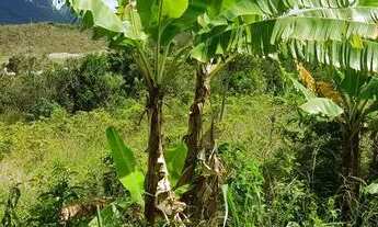 Imagem 5: Lindo terreno em Ibicoara (chapada Diamantina