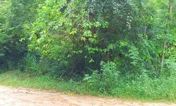 Imagem 2: Terreno em Itaiacoca