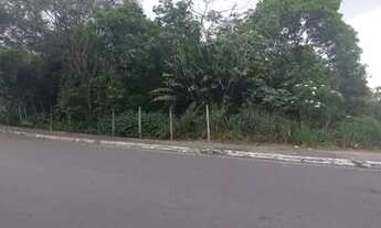 Imagem 6: Vendo terreno no parque das Laranjeiras