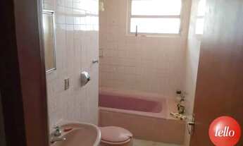 Imagem 5: São Paulo - Apartamento Padrão - Perdizes