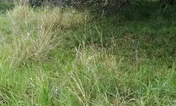 Imagem 3: Excelente terreno para venda, com excelente localização !!!