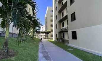 Imagem 6: Ilha dos Açores 3/4 sendo 1 suíte - Sombra