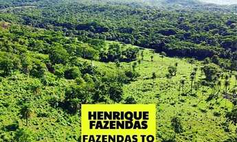 Imagem 3: Fazenda de cultura região de Palmas TAQUARALTO