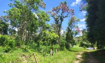 Imagem 3: Terreno para chácara