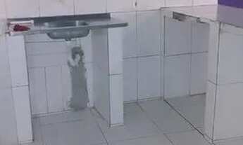 Imagem 3: Casa a venda em Campinas pirajá