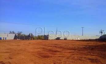 Imagem 2: área - Área Rural de Cosmópolis - Cosmópolis