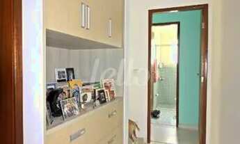 Imagem 6: São Paulo - Casa Padrão - Ipiranga