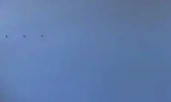 Imagem 5: Apartamento para venda ou locação 2 dormitórios sendo 1 suíte, mobiliado, 89m2 úteis