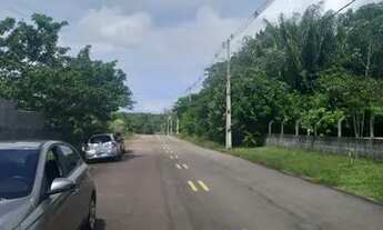 Imagem: Chacara Janauary 2 2.000 metros quadrados