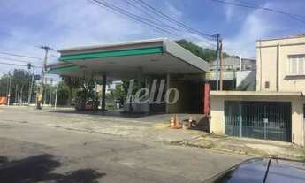 Imagem 3: São Paulo - Terreno Padrão - Ipiranga