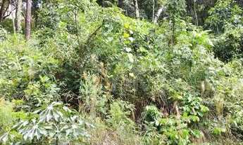 Imagem 3: Lote em Condomínio à venda, Canto da Mata - Nova Lima/MG