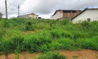 Imagem: FEIRA NOVA - Casa Padrão