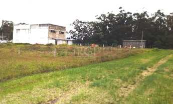 Imagem 4: Area para Venda - 0m², 0 dormitórios, Rondinha