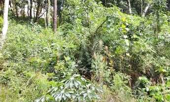 Imagem 4: Lote em Condomínio à venda, Canto da Mata - Nova Lima/MG