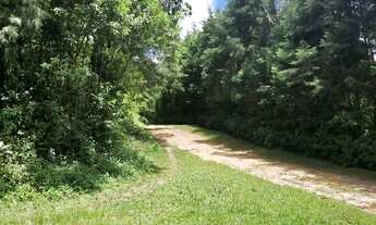 Imagem 6: Terreno para chácara