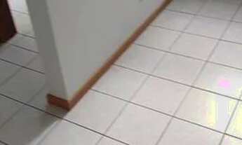 Imagem 3: Vende-se AP. SÃO JOSÉ SC