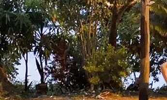 Imagem 3: Casa em Mocajuba de 1/4 bairro monte alegre