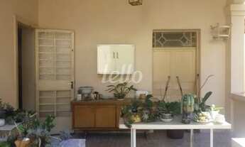 Imagem 4: São Paulo - Casa Padrão - Ipiranga