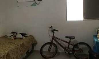 Imagem 2: Casa na Terra Firme vendo