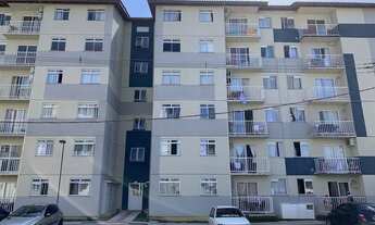 Imagem: JARAGUá DO SUL - Padrão - Rau