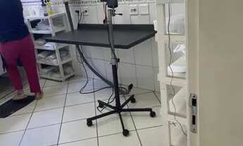 Imagem: Veterinária coisa linda fatura 100 mil