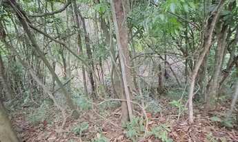 Imagem 7: Chácara 7825 MTS px Abadiania-go