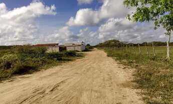 Imagem 4: Lote em Santanópolis