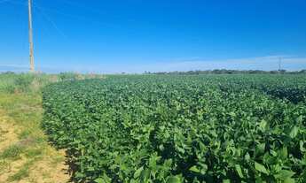 Imagem 6: Sitio 18 ectares valor 800.000