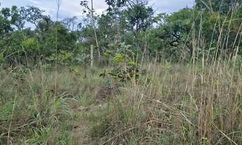 Imagem 4: Vendo tereno de chácara na ponte alta próximo ao clube dos vigilantes