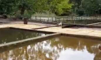 Imagem 2: Venda de chácaras, Sítio