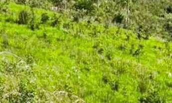 Imagem: QUER VIVER BEM OU INVESTIR EM TERRENOS EM