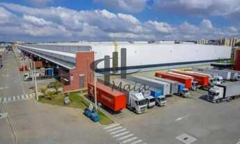 Imagem 5: Locação Galpão Guarulhos Jardim Santa Vicencia Ref: 42118