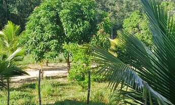 Imagem 6: Imóvel para venda possui 8500 metros quadrados com 4 quartos em Centro - Araçás - BA