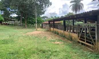 Imagem 3: Fazenda 213ha, com casa sede e casa de caseiro, duas nascentes, represa, Jaboticatubas