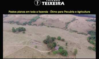 Imagem 4: FAZENDA TEIXEIRA - EM FRENTE AO OUTLET