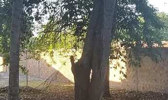 Imagem 4: Imóvel para venda com 624 metros quadrados em Alagoinhas Velha - Alagoinhas - BA