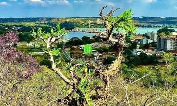 Imagem: Lote em Centro