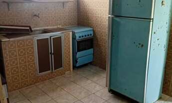 Imagem 6: Ariramba jurubeba mosqueiro