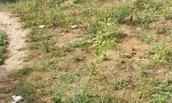 Imagem 4: TERRENO NO BAIRRO MIRAMAR