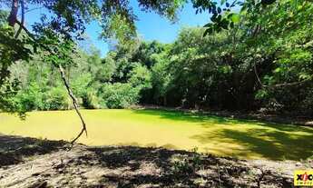 Imagem 7: Sítio / Chácara para Venda em Picada Café, Floresta