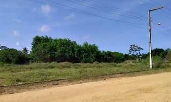 Imagem 2: Lote medindo 400 m² no Loteamento RGA, no Mosqueiro